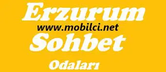 Erzurum Sohbet Odaları